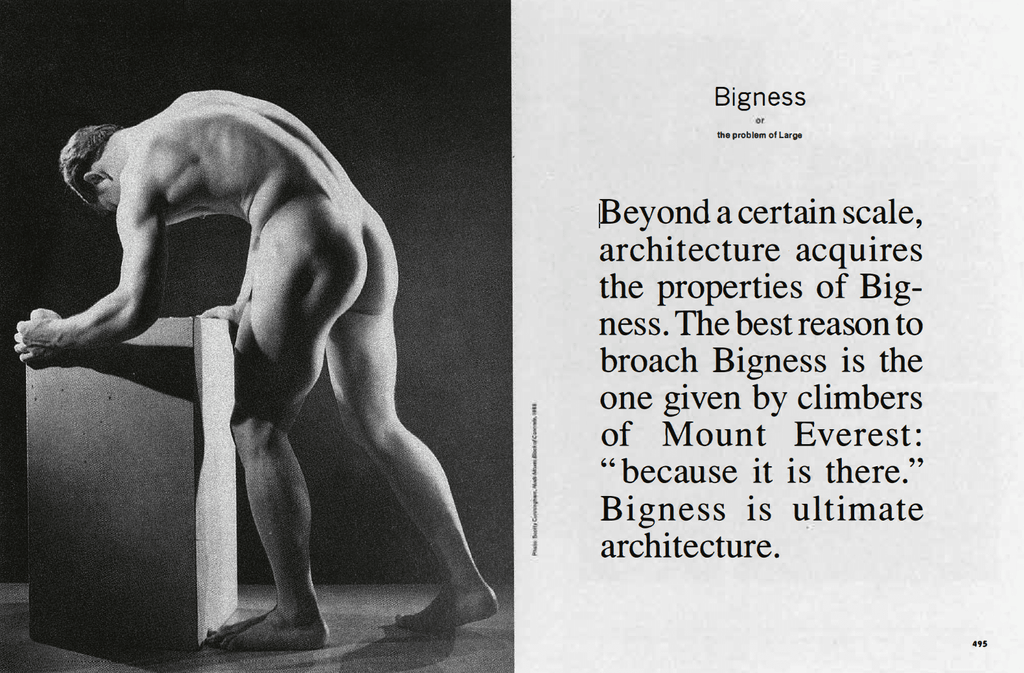 El Día Después. Una Conversación con Rem Koolhaas. Por Alejandro Zaera