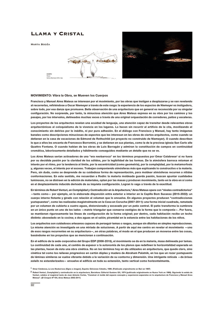 Llama y cristal, por Marta Bogéa