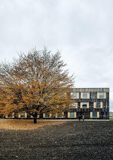 6a architects - Cowan Court en Churchill College