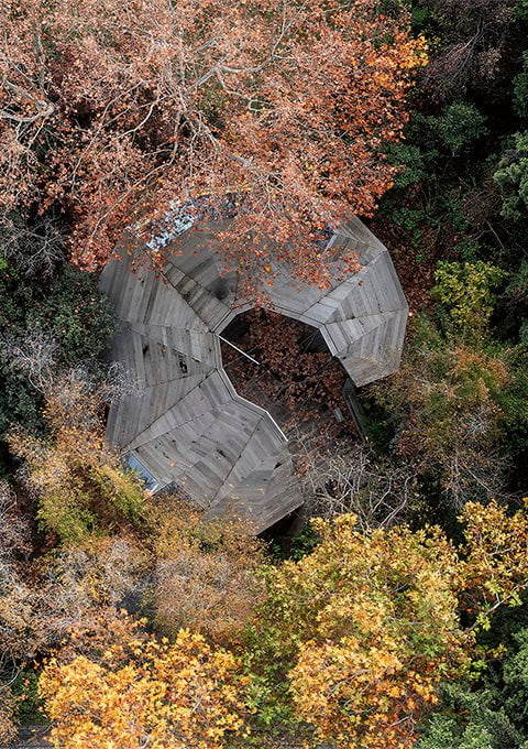selgascano - Studio Extension