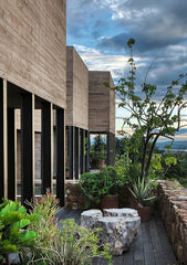 Boxes in Gloom and Guest Pavilion - Manuel Cervantes