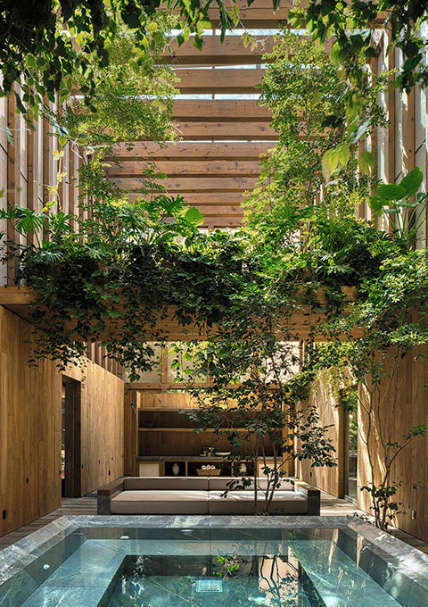 Mazaua - Manuel Cervantes