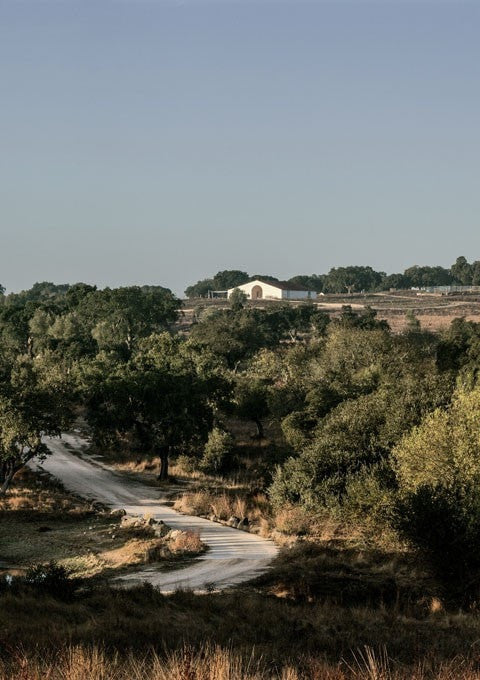 Aires Mateus - House in Time