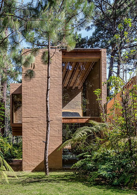 Five Homes Among Pines - Taller Héctor Barroso