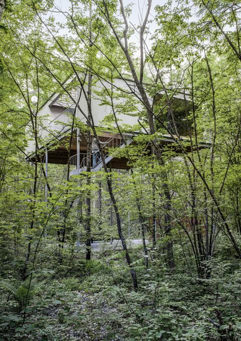 Go Hasegawa - Pilotis in a Forest